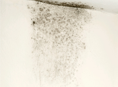 완도 주택 아파트 공장 결로검사 결로공사 시공업체