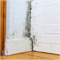 완도 주택 아파트 공장 결로검사 결로공사 시공업체-6106657